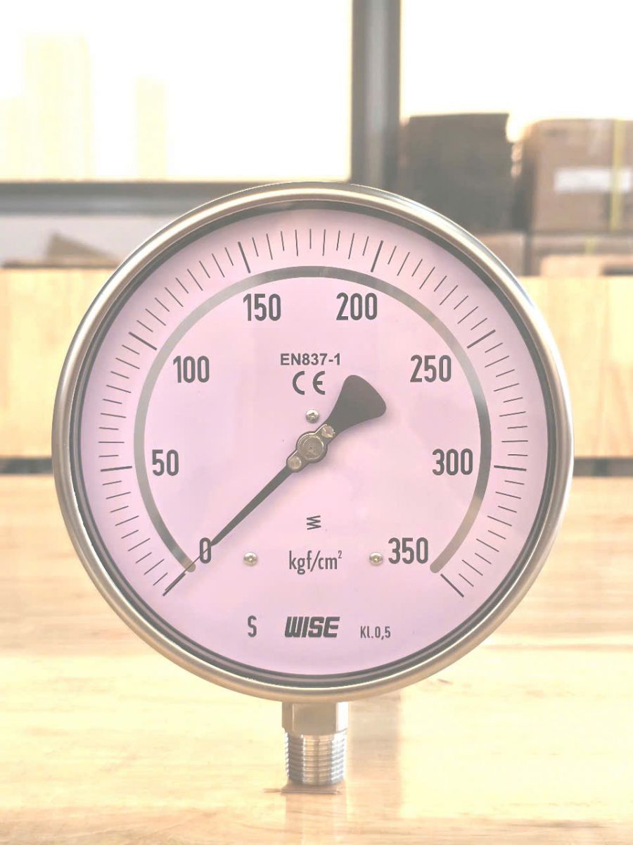 Đồng hồ test áp suất Wise P229